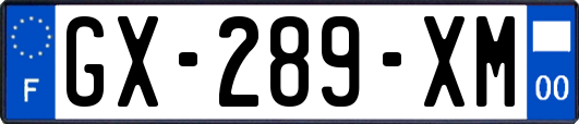 GX-289-XM