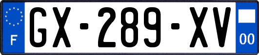 GX-289-XV