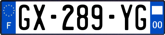GX-289-YG