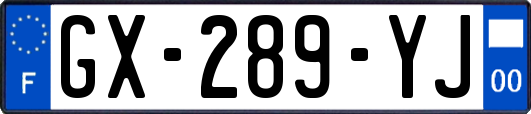 GX-289-YJ