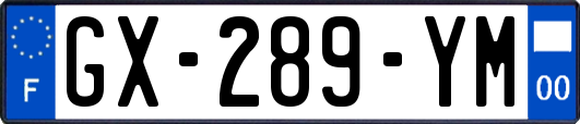 GX-289-YM