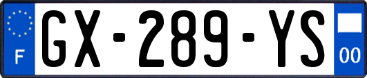 GX-289-YS