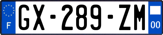 GX-289-ZM