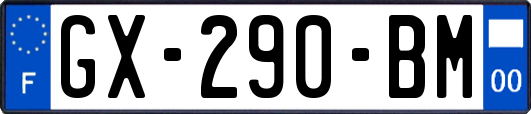 GX-290-BM