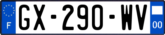 GX-290-WV