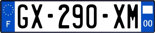 GX-290-XM