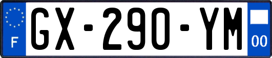 GX-290-YM