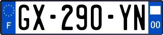 GX-290-YN