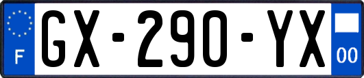 GX-290-YX