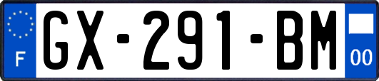 GX-291-BM
