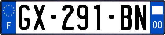 GX-291-BN