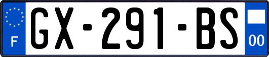 GX-291-BS