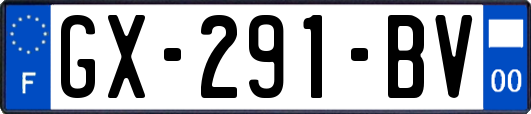 GX-291-BV