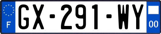 GX-291-WY