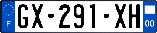 GX-291-XH