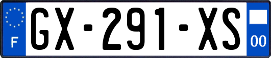 GX-291-XS
