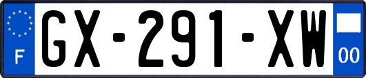 GX-291-XW