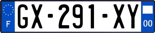 GX-291-XY