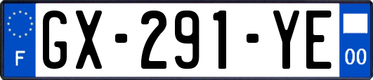 GX-291-YE