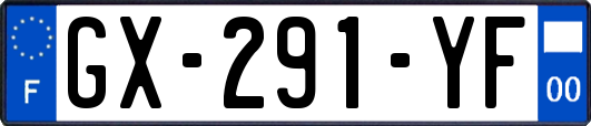 GX-291-YF