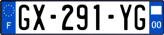 GX-291-YG