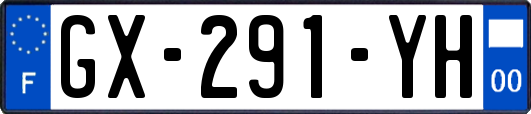 GX-291-YH
