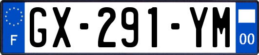 GX-291-YM
