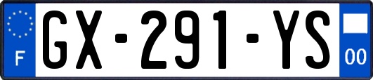 GX-291-YS