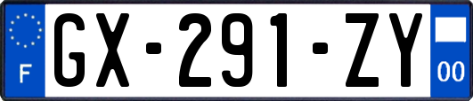 GX-291-ZY