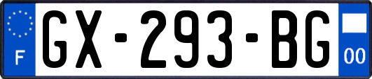 GX-293-BG
