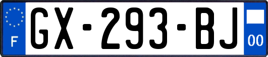 GX-293-BJ