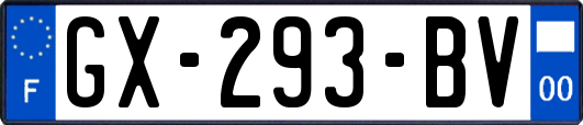 GX-293-BV