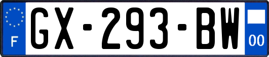 GX-293-BW