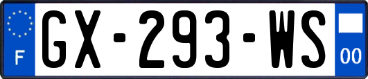 GX-293-WS