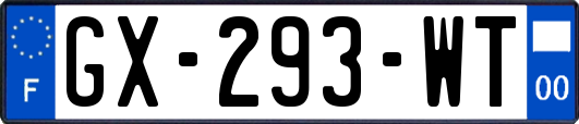 GX-293-WT
