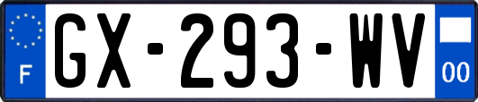 GX-293-WV