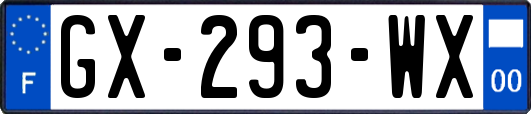 GX-293-WX