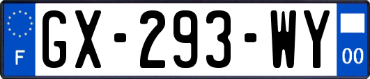 GX-293-WY
