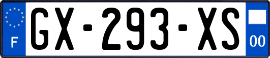 GX-293-XS