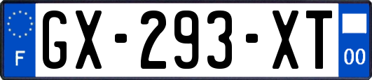 GX-293-XT