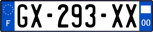 GX-293-XX