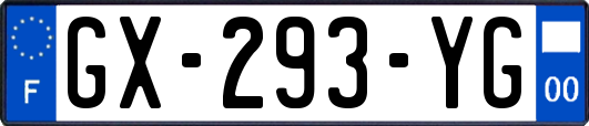 GX-293-YG