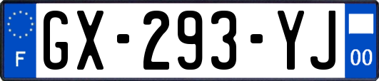 GX-293-YJ