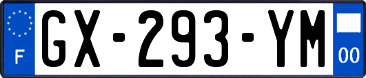GX-293-YM