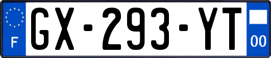 GX-293-YT
