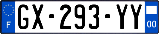 GX-293-YY