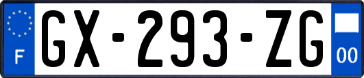 GX-293-ZG