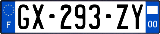 GX-293-ZY