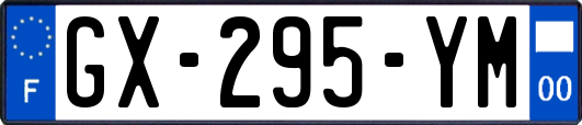GX-295-YM