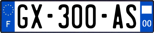 GX-300-AS